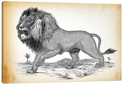 Industrial Lion Canvas Art Print