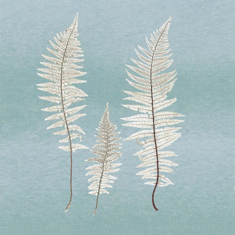 Spring Eden Fern by Lula Bijoux & Company wall art