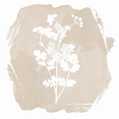 Sweet Sophisticate Floral I by Lula Bijoux & Company canvas print