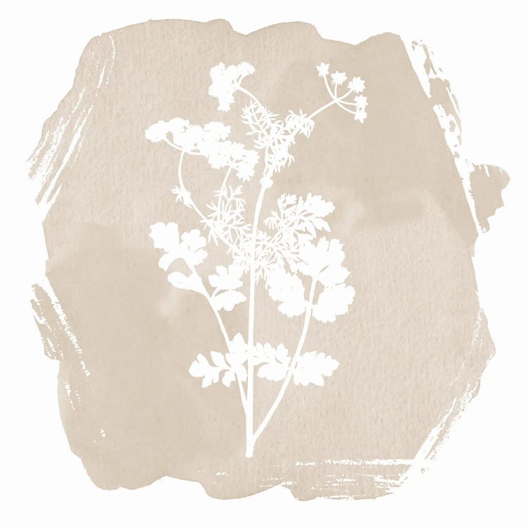 Sweet Sophisticate Floral I