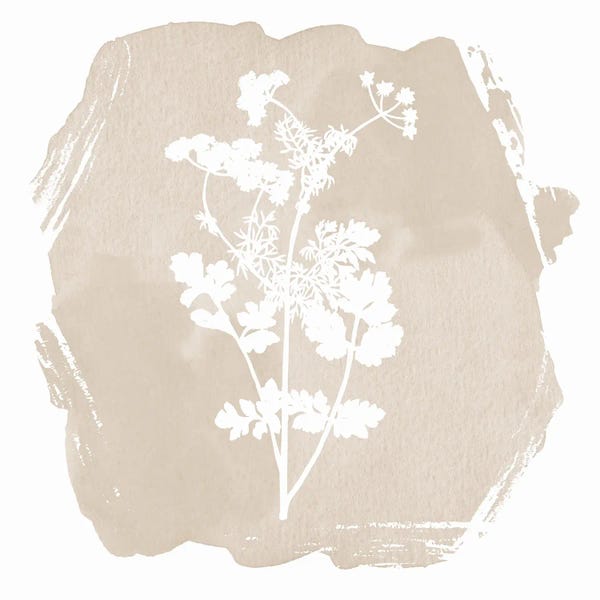 Lula Bijoux & Company: Sweet Sophisticate Floral I by Lula Bijoux & Company