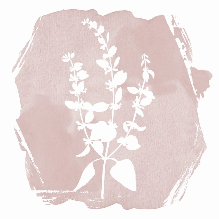 Sweet Sophisticate Floral II