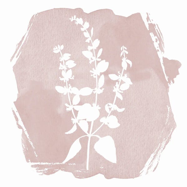 Lula Bijoux & Company: Sweet Sophisticate Floral II by Lula Bijoux & Company