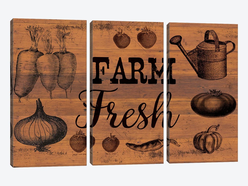 Farm Fresh I by Lula Bijoux & Company 3-piece Canvas Print