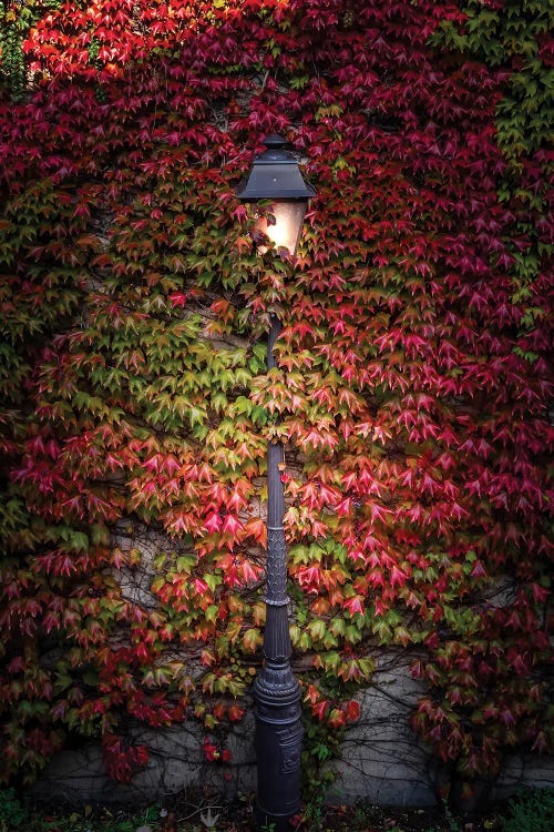 Montmartre, Paris