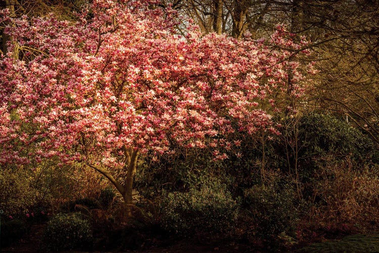 Parc Montsouris, Paris