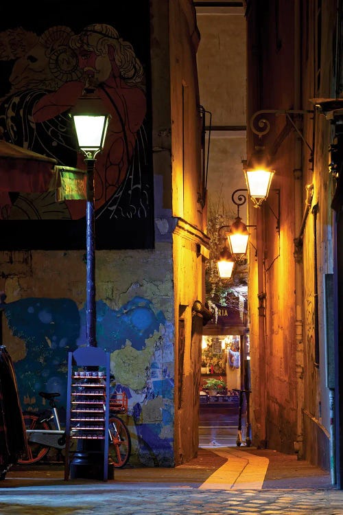 Rue Du Chat Qui Pêche, Paris by Jérôme Labouyrie wall art