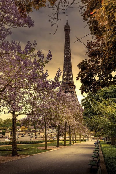 Jérôme Labouyrie: Trocadero Garden, Paris by Jérôme Labouyrie