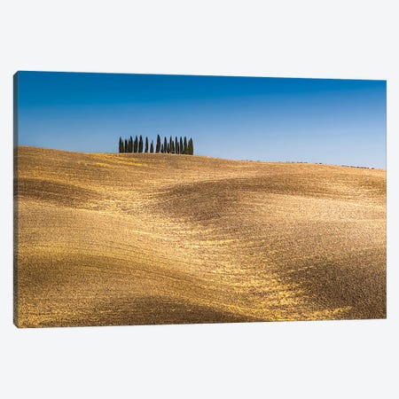 Val D'Orcia, Tuscany, Italy I Canvas Print #LBY75} by Jérôme Labouyrie Canvas Artwork