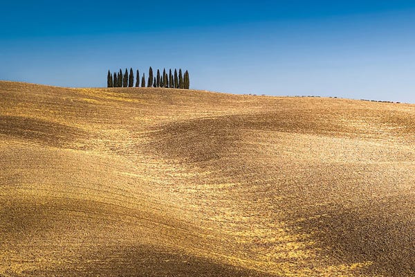 Val d'Orcia: Val D'Orcia, Tuscany, Italy I by Jérôme Labouyrie
