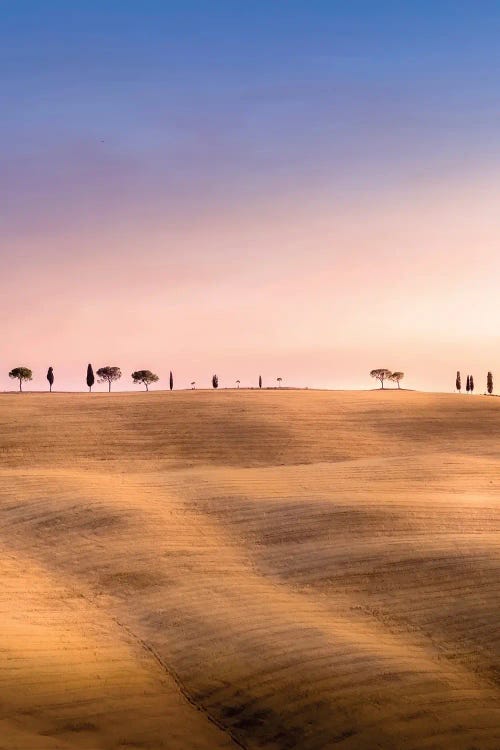 Val D'Orcia, Tuscany, Italy II by Jérôme Labouyrie wall art
