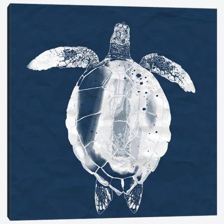 Sea Turtle On Navy Canvas Print #LCC11} by Lucca Sheppard Canvas Wall Art