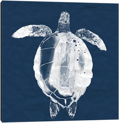 Sea Turtle On Navy Canvas Art Print