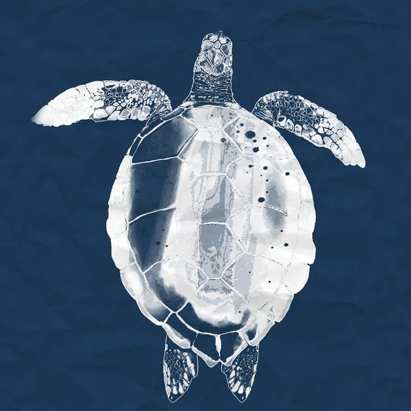 Turtles: Sea Turtle On Navy by Lucca Sheppard
