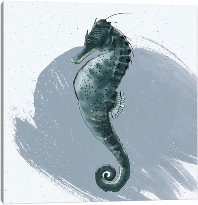 Seahorse Canvas Art Print
