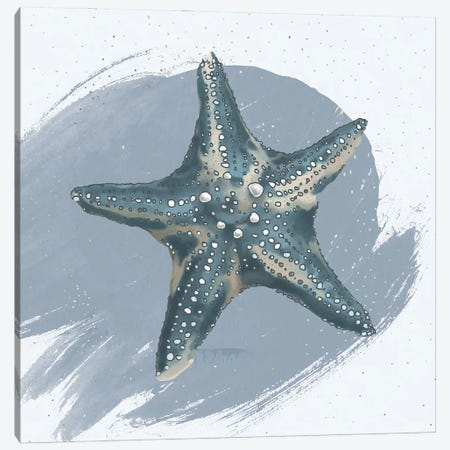 Starfish Canvas Print #LCC13} by Lucca Sheppard Canvas Wall Art