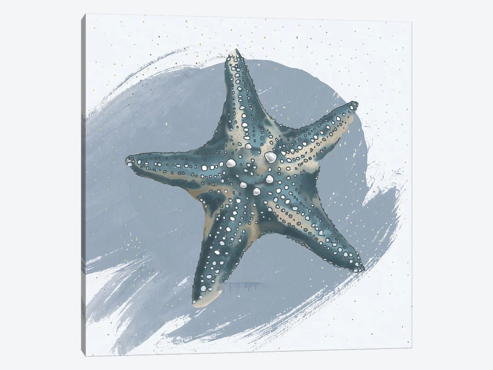 Starfish by Lucca Sheppard 1-piece Canvas Art