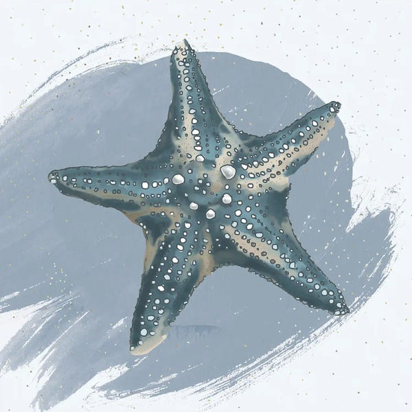 Starfish: Starfish by Lucca Sheppard