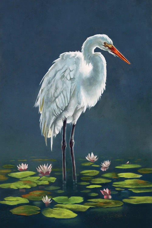 Egret Amongst The Lily Pads