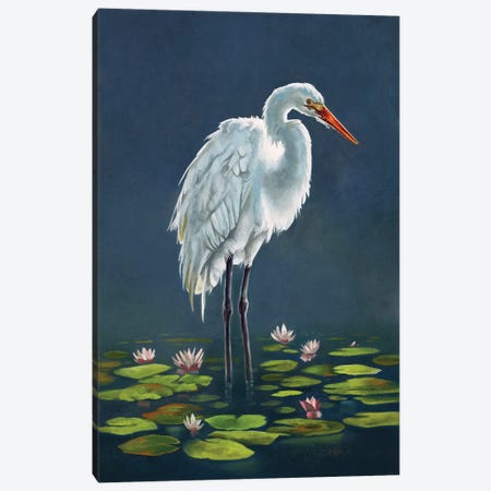 Egret Amongst The Lily Pads Canvas Print #LCC4} by Lucca Sheppard Canvas Wall Art