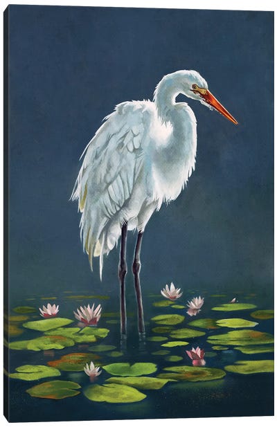 Egret Amongst The Lily Pads Canvas Art Print - Egret Art