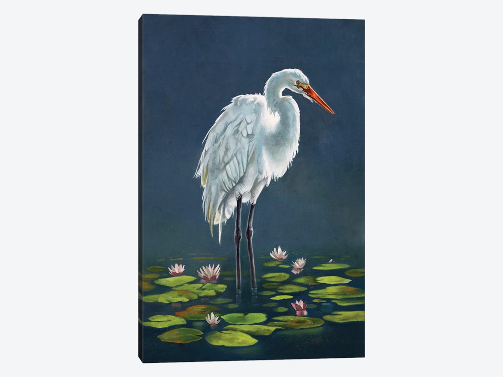 Egret Amongst The Lily Pads by Lucca Sheppard 1-piece Canvas Art Print