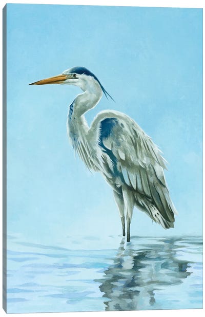 Garza Azul Canvas Art Print - Egret Art