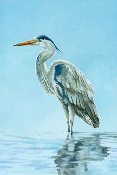 Egrets: Garza Azul by Lucca Sheppard