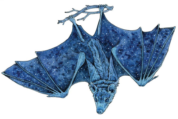 Cosmic Bat