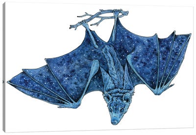 Cosmic Bat Canvas Art Print - Children's Illustrations 