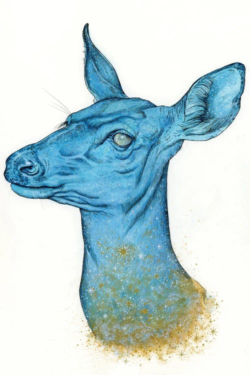 Cosmic Deer