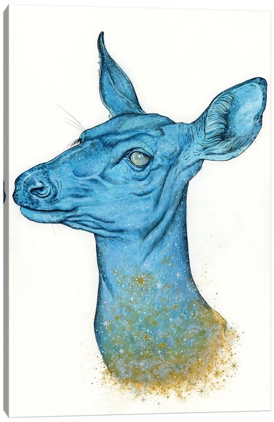 Cosmic Deer Canvas Art Print - Léa Chaillaud