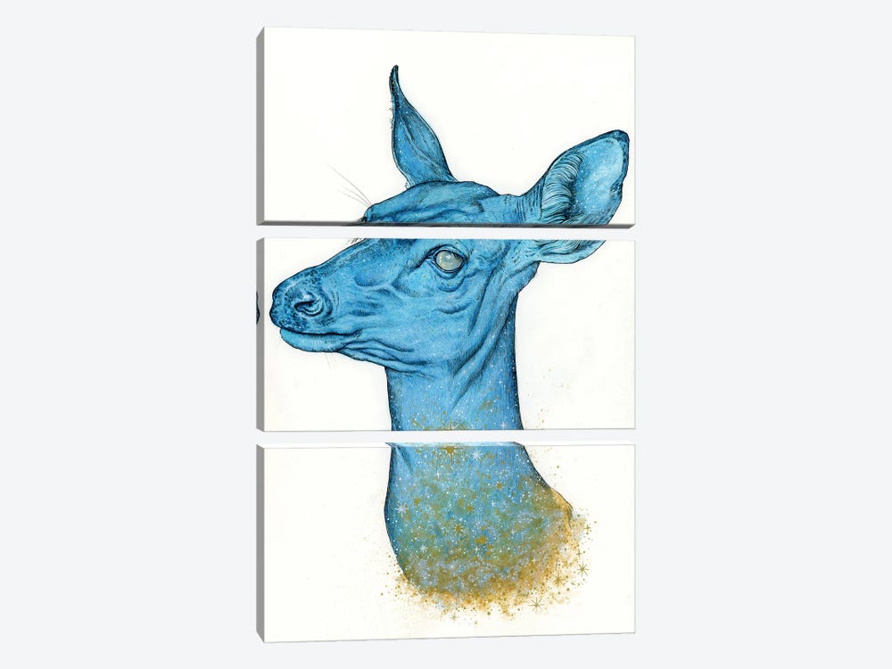 Cosmic Deer by Léa Chaillaud 3-piece Canvas Art Print