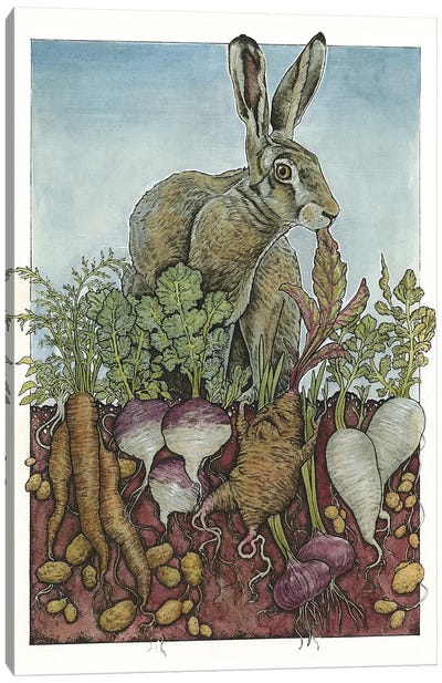 Early Harvest Canvas Art Print - Carrot Art