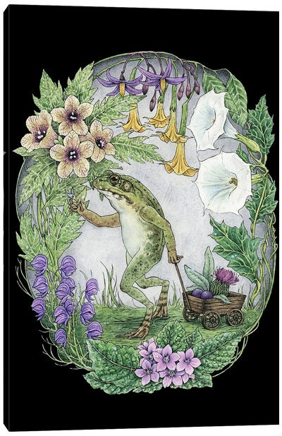Garden Of Magick Canvas Art Print - Frog Art