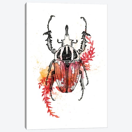 Insect I Canvas Print #LCD24} by Léa Chaillaud Canvas Print
