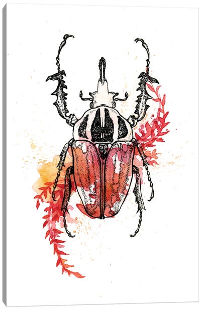 Insect I Canvas Art Print - Beetle Art