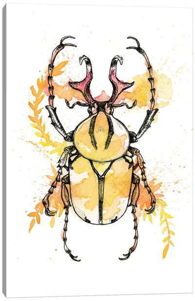 Insect II Canvas Art Print - Beetle Art