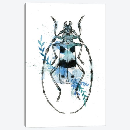 Insect III Canvas Print #LCD26} by Léa Chaillaud Art Print