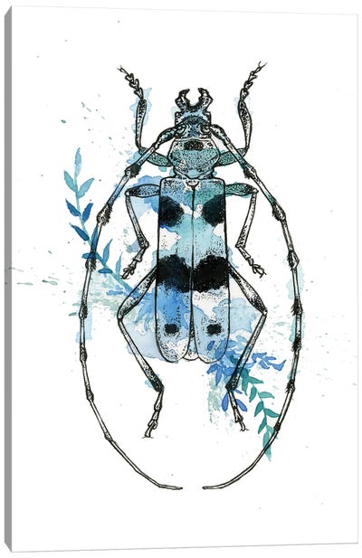 Insect III Canvas Art Print - Beetle Art