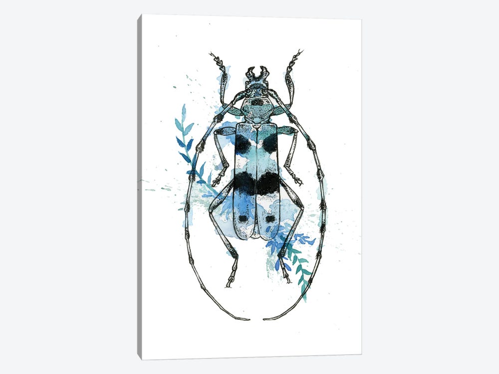 Insect III by Léa Chaillaud 1-piece Canvas Art Print