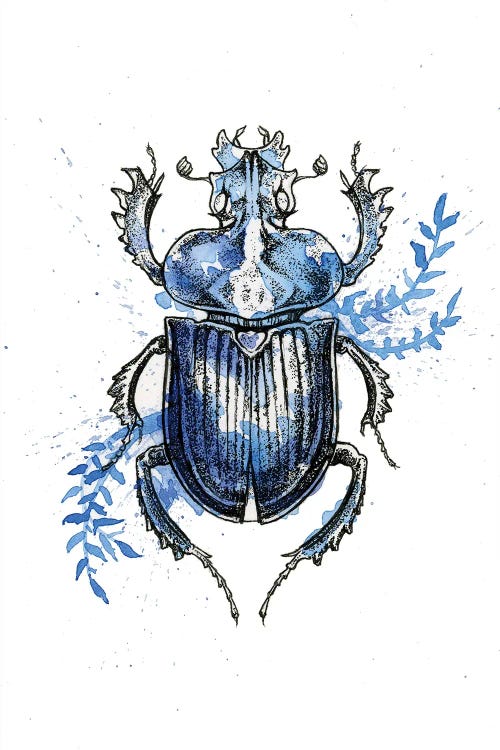 Insect IV