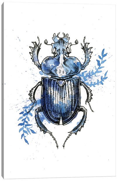 Insect IV Canvas Art Print - Beetle Art