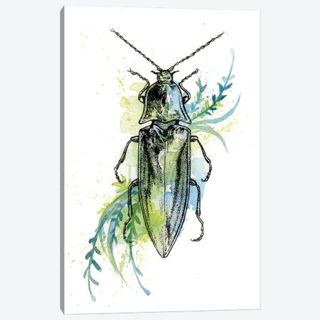 Insect V Canvas Print #LCD28} by Léa Chaillaud Canvas Art