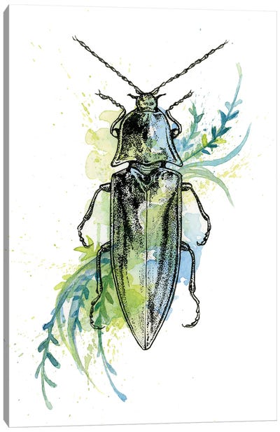 Insect V Canvas Art Print - Beetle Art
