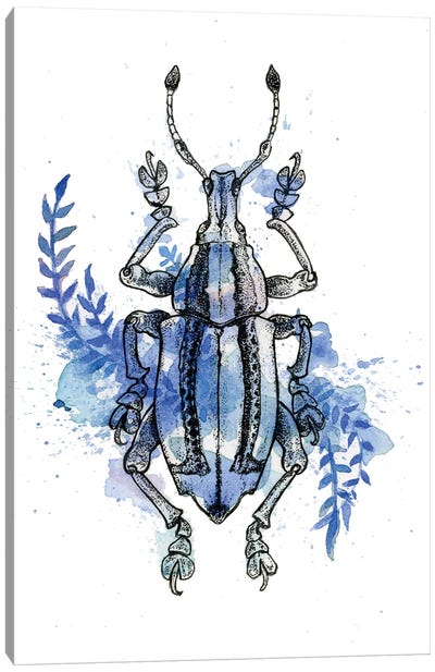 Insect VI Canvas Art Print - Léa Chaillaud