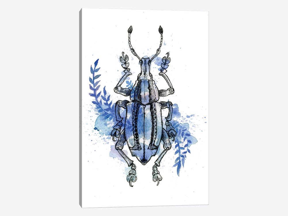 Insect VI by Léa Chaillaud 1-piece Canvas Wall Art