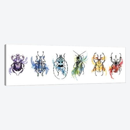 Insect Banderole Canvas Print #LCD30} by Léa Chaillaud Canvas Print
