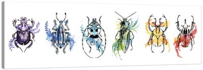Insect Banderole Canvas Art Print - Beetle Art