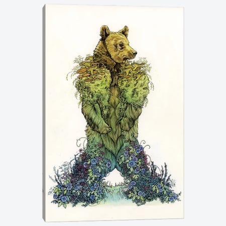 Mossy Bear Canvas Print #LCD32} by Léa Chaillaud Canvas Print